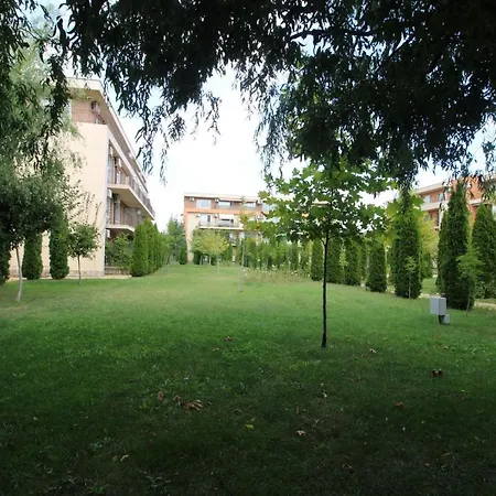 Holiday-orchid Menada