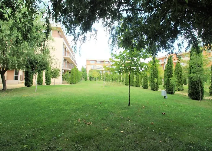 Holiday-orchid Menada