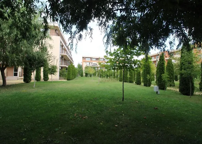 Holiday-orchid Menada