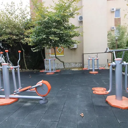 Holiday-orchid Menada