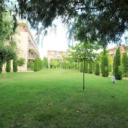 Holiday-orchid Menada